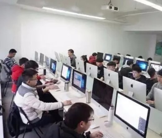 走向技术产业化核心路径 依托金豆IT培训构建高效能IT外包服务新范式